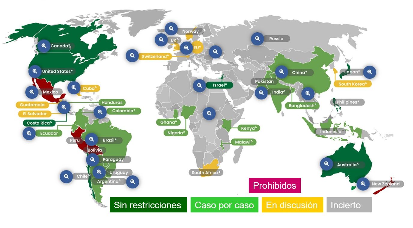 las-biotecnologias-mertxe-de-renobales